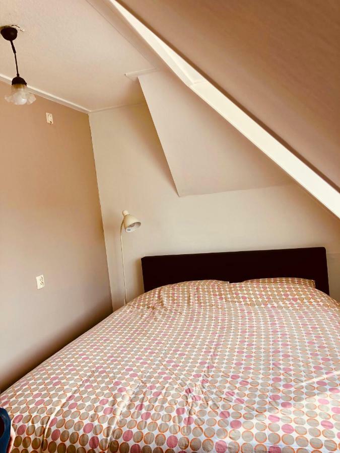 Frysk Hus Villa Paesens Dış mekan fotoğraf
